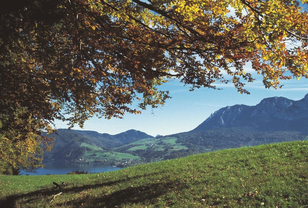 Отель Haus Gruber Attersee Экстерьер фото
